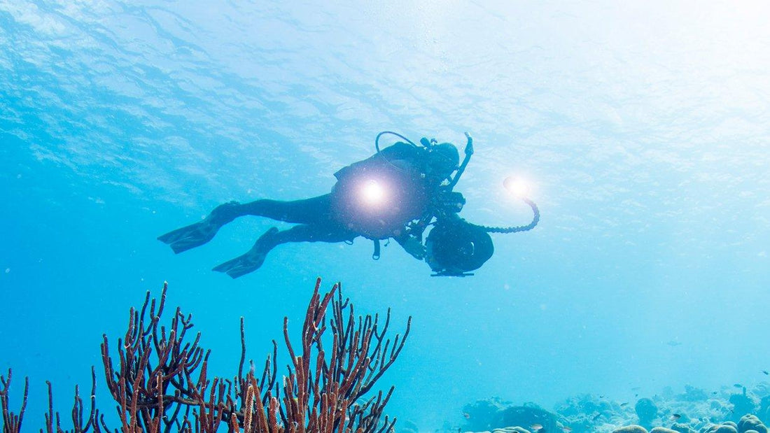 Photographer's Paradise: Capturing Goa's Underwater Beauty Through Scuba Diving - FLYING FISH DIVING INDIA PRIVATE LIMITED
