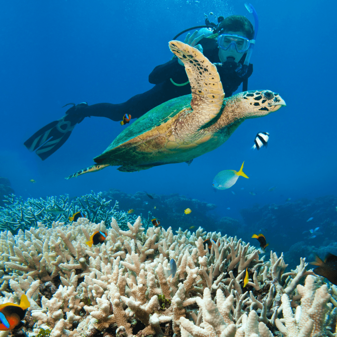 Why Scuba Diving Is Safe? - FLYING FISH DIVING INDIA PRIVATE LIMITED