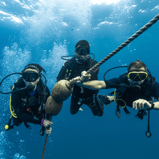 Why start a family scuba diving adventure in Goa? - FLYING FISH DIVING INDIA PRIVATE LIMITED