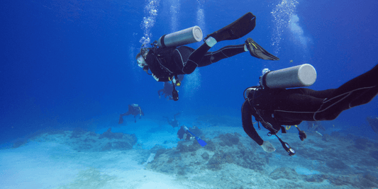 What is Open Water Diver course? - FLYING FISH DIVING INDIA PRIVATE LIMITED
