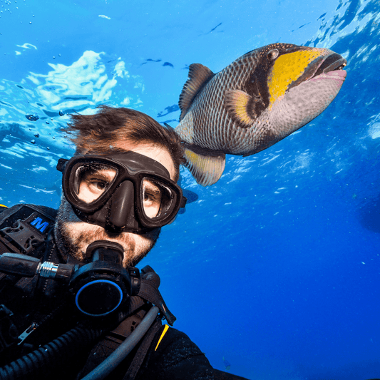 12 Months, 12 Dazzling Dive Destinations 2024 - FLYING FISH DIVING INDIA PRIVATE LIMITED