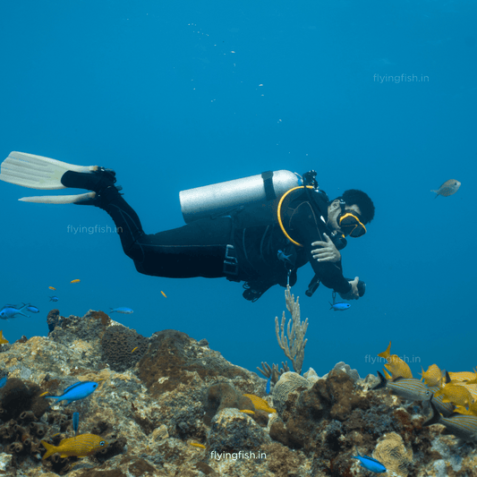 What is Scuba Diving? - FLYING FISH DIVING INDIA PRIVATE LIMITED