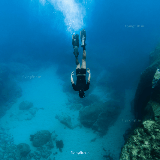What is FreeDiving? | FlyingFish Scuba School Goa - FLYING FISH DIVING INDIA PRIVATE LIMITED