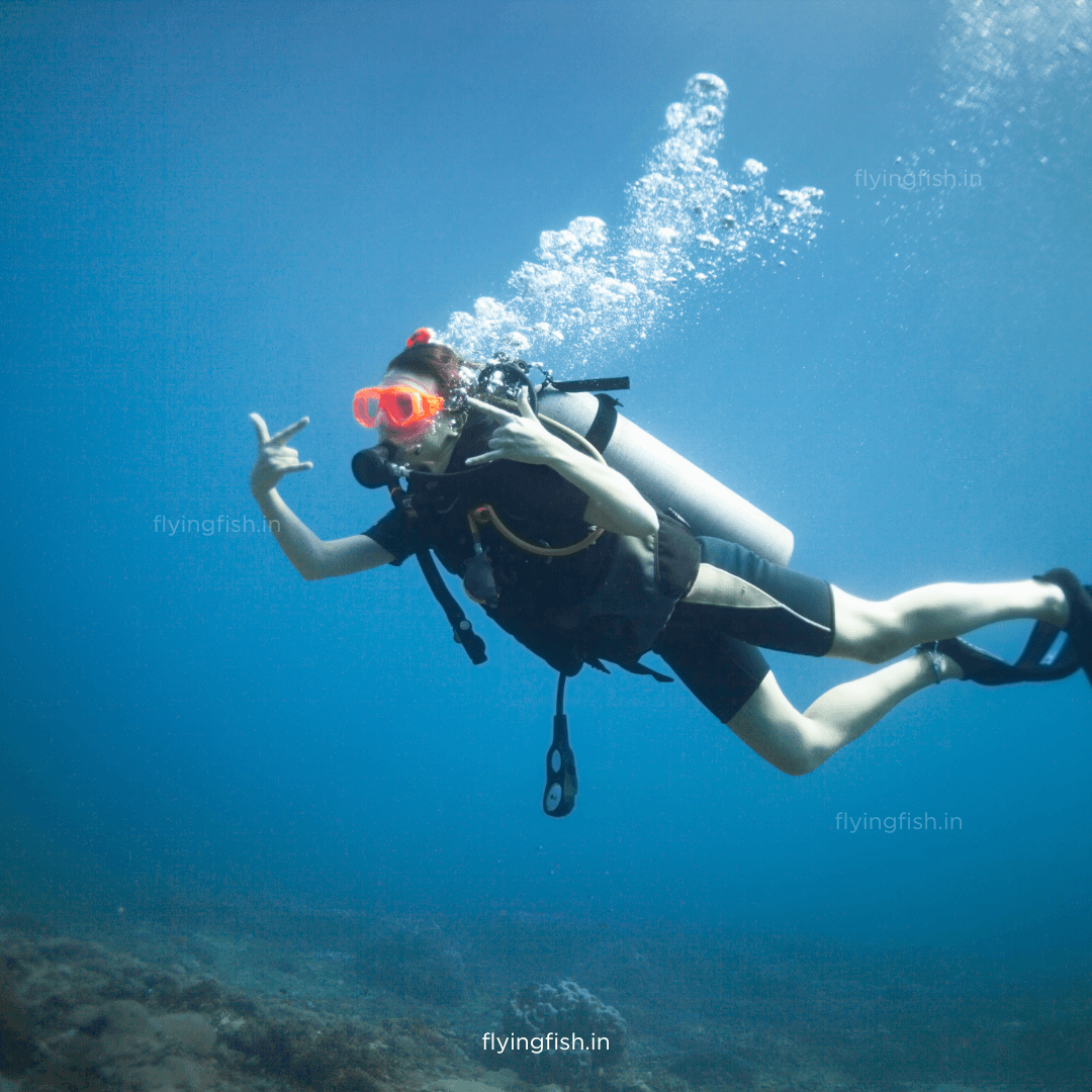 Why Go Scuba Diving? - FLYING FISH DIVING INDIA PRIVATE LIMITED