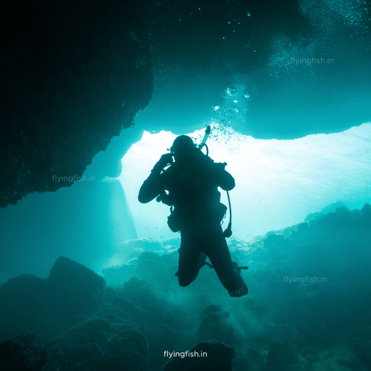 Best Scuba Diving Destinations In India | Scuba Diving in India - FLYING FISH DIVING INDIA PRIVATE LIMITED