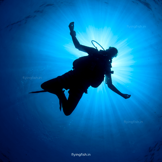 7 Fun and Fascinating Facts about Scuba Diving - FLYING FISH DIVING INDIA PRIVATE LIMITED