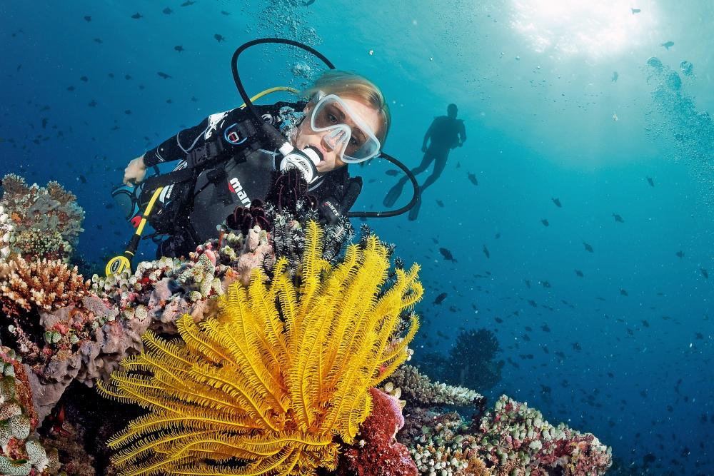 Navigating the Depths Alone: 8 Essential Tips for Solo Scuba Divers - FLYING FISH DIVING INDIA PRIVATE LIMITED