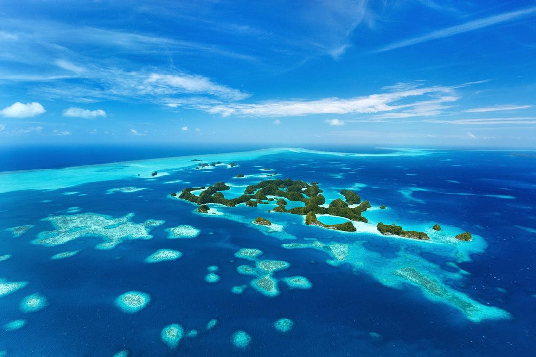The Finest 13 Dive Locations Worldwide - FLYING FISH DIVING INDIA PRIVATE LIMITED