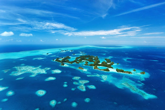 The Finest 13 Dive Locations Worldwide - FLYING FISH DIVING INDIA PRIVATE LIMITED