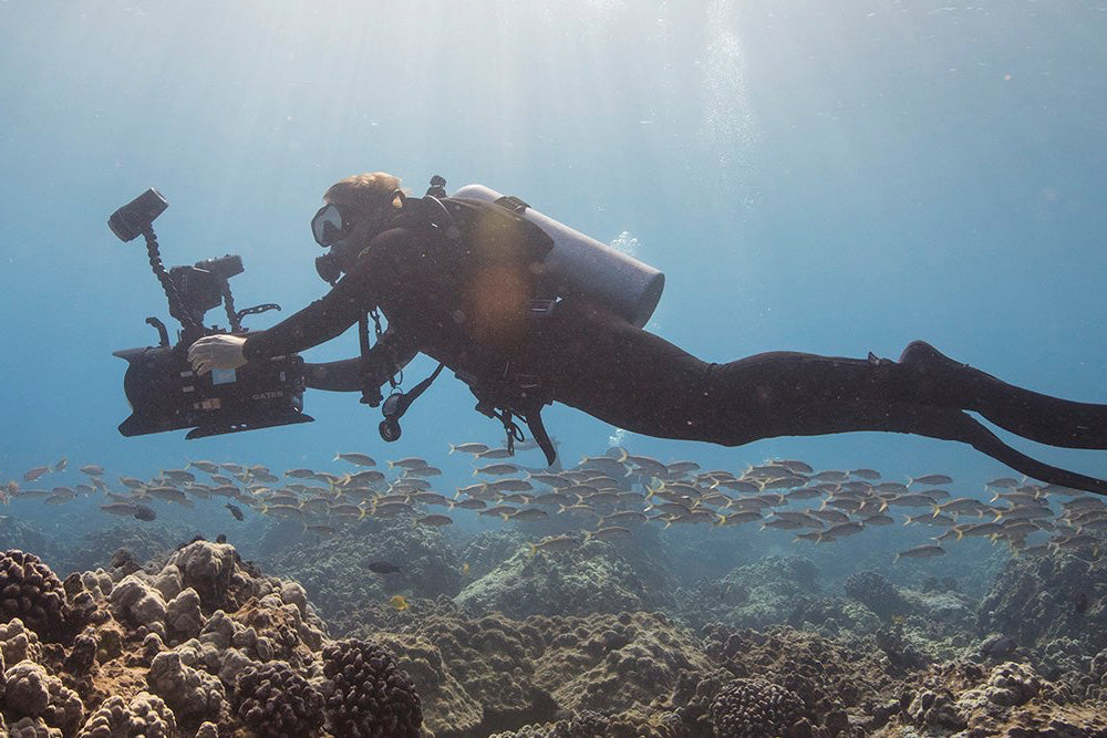 PADI Digital Underwater Photographer
