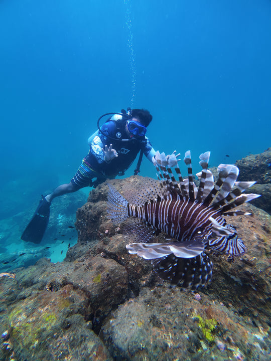 Scuba diving photo