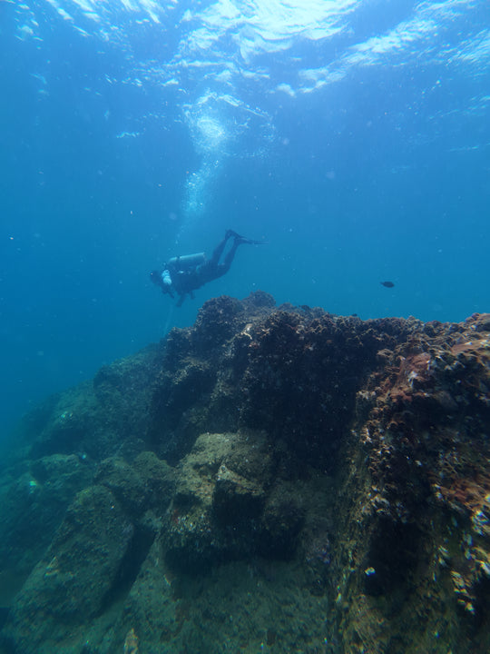 Scuba diving photo