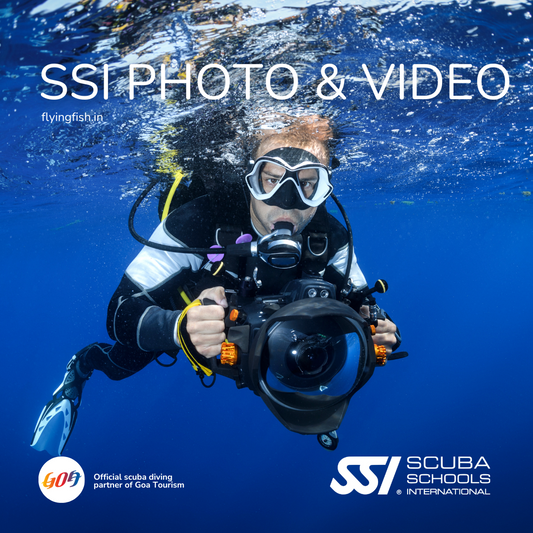 SSI Photo & Video