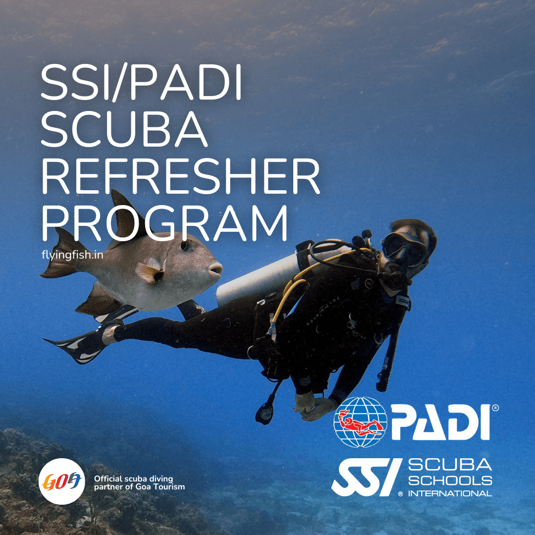 SSI/PADI Scuba Refresher Program - FLYING FISH DIVING INDIA PRIVATE LIMITED