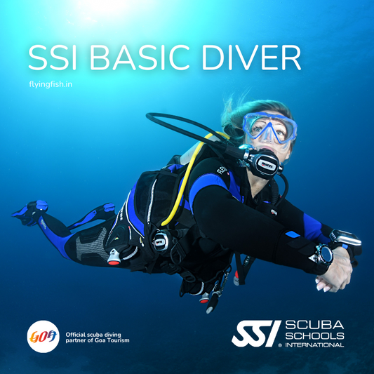 SSI Basic Diver