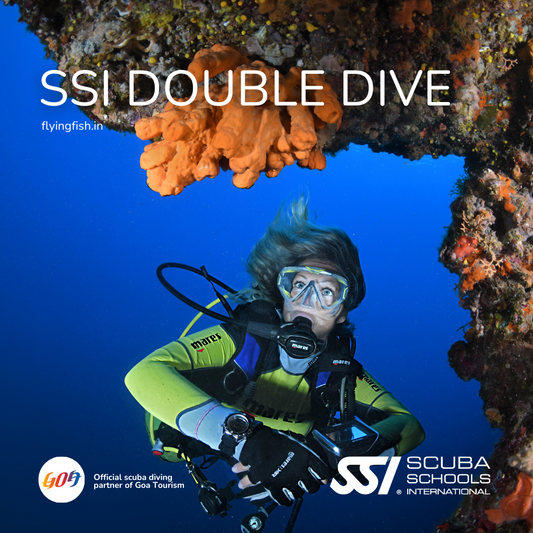 SSI Double Dive