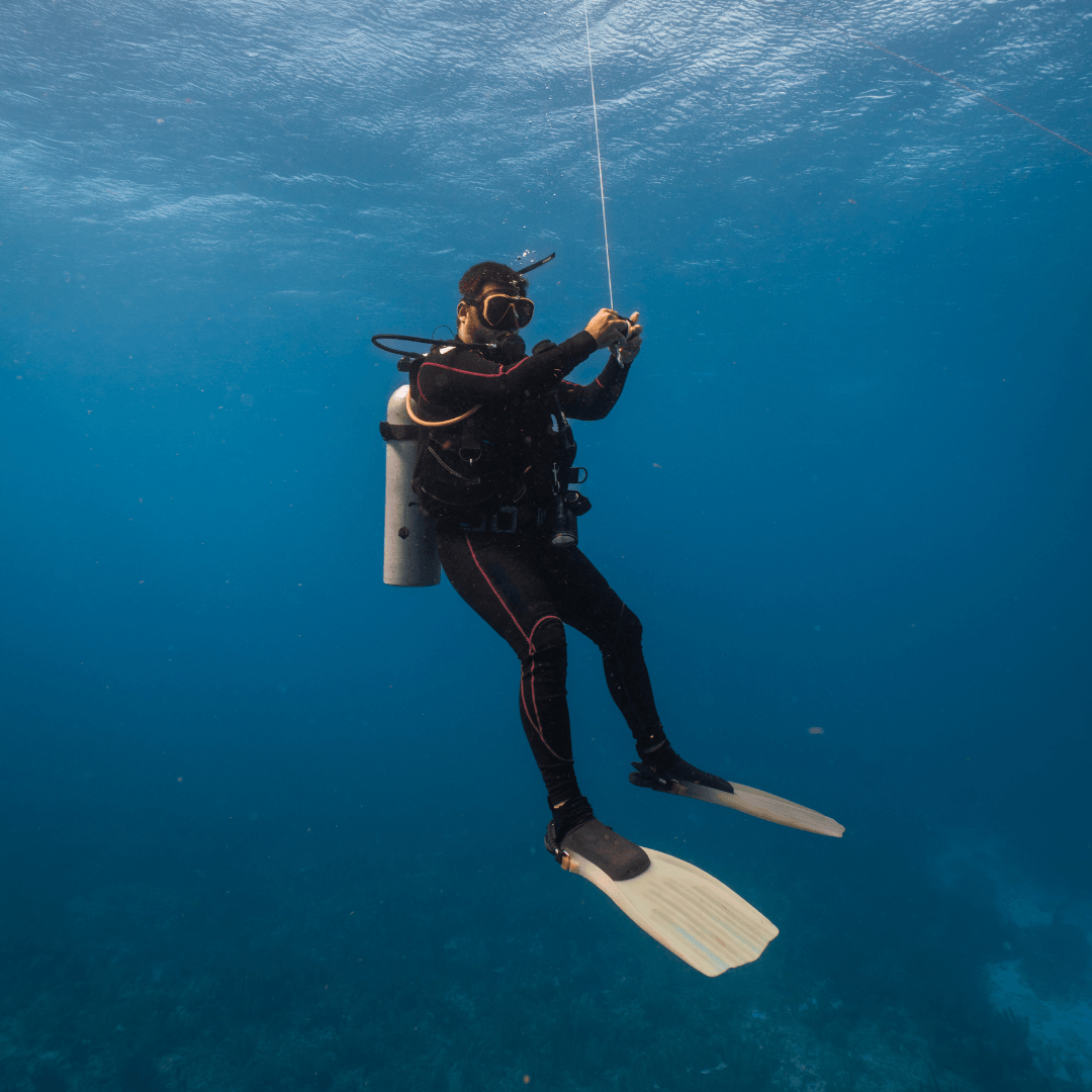 PADI Open Water and PADI Advanced Open Water - FLYING FISH DIVING INDIA PRIVATE LIMITED