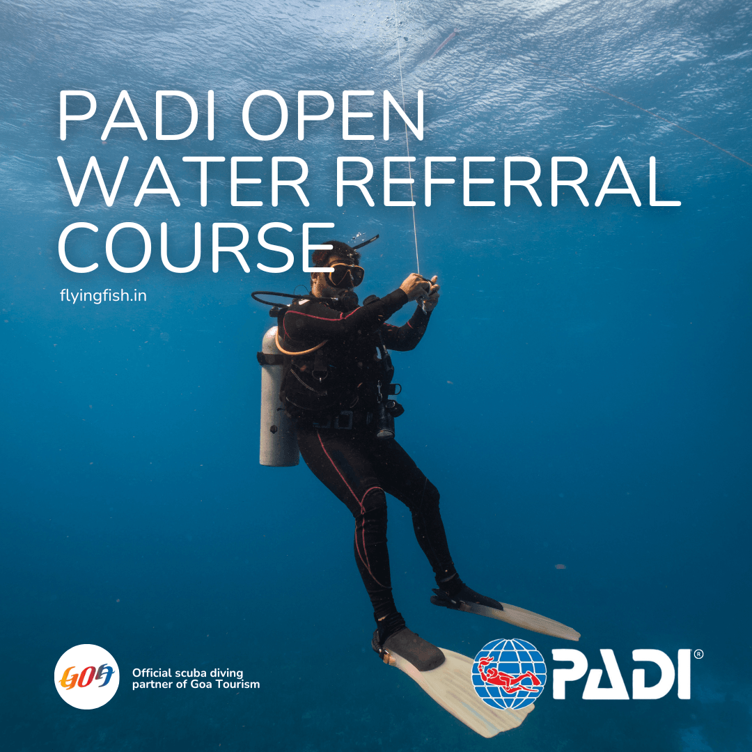 PADI Peak Performance Buoyancy - FLYING FISH DIVING INDIA PRIVATE LIMITED
