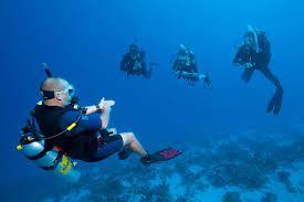 SSI Advanced Adventurer & SSI Nitrox Combo Deal - FLYING FISH DIVING INDIA PRIVATE LIMITED