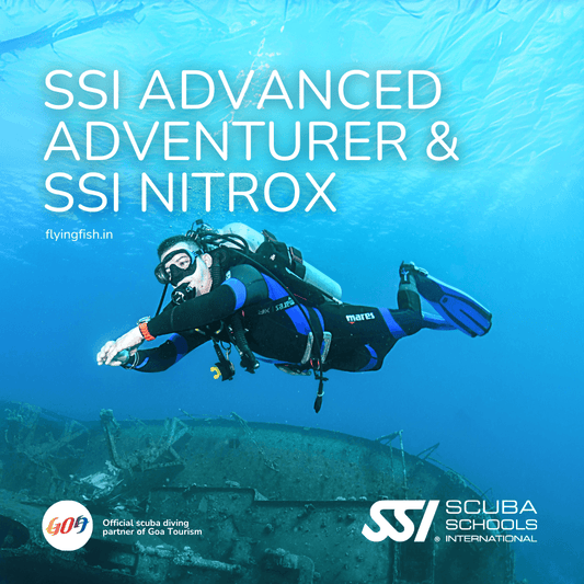 SSI Advanced Adventurer & SSI Nitrox Combo Deal - FLYING FISH DIVING INDIA PRIVATE LIMITED
