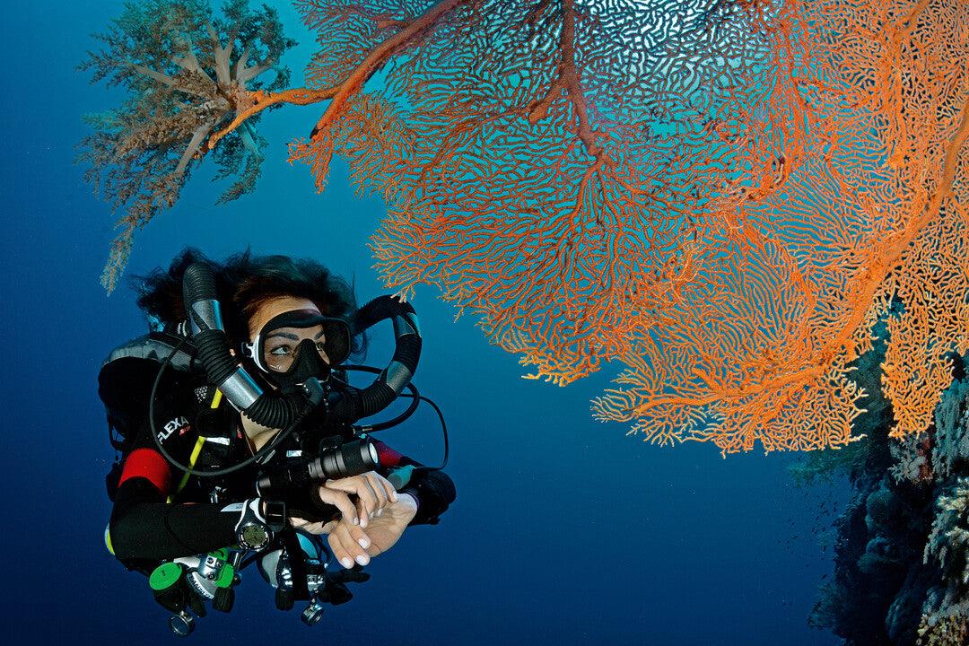 First dive experience (40+40 minutes) | Scuba Diving in Goa - FLYING FISH DIVING INDIA PRIVATE LIMITED