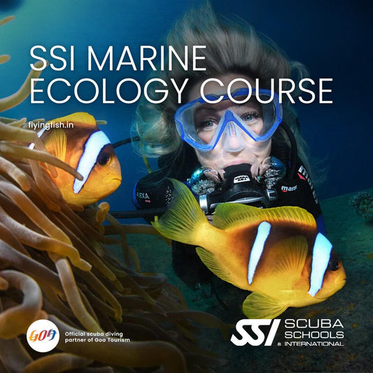 SSI Marine Ecology Course - FLYING FISH DIVING INDIA PRIVATE LIMITED