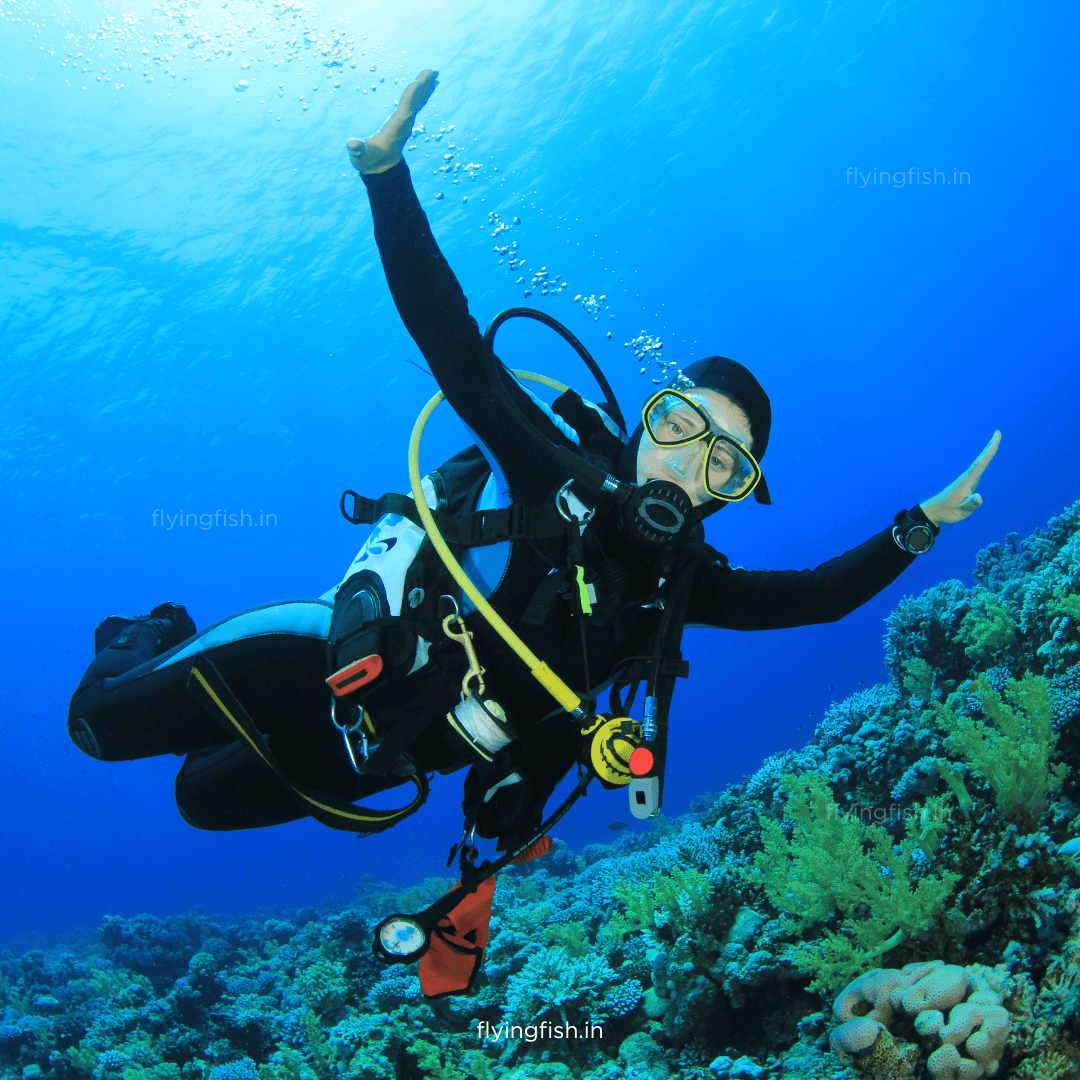 SSI Open Water, Nitrox and Advanced Adventurer - FLYING FISH DIVING INDIA PRIVATE LIMITED