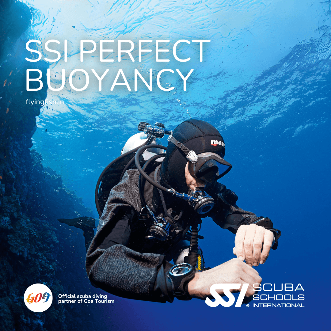 SSI Perfect Buoyancy - FLYING FISH DIVING INDIA PRIVATE LIMITED