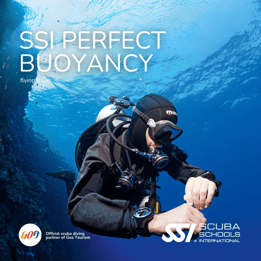 SSI Perfect Buoyancy - FLYING FISH DIVING INDIA PRIVATE LIMITED