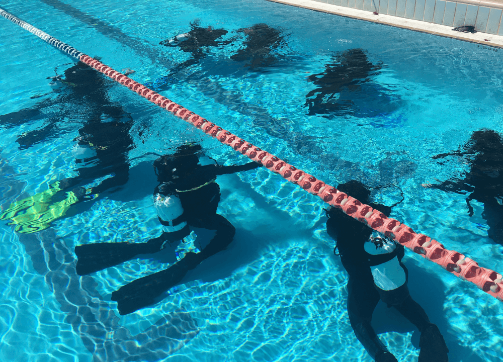 PADI open water referral course - FLYING FISH DIVING INDIA PRIVATE LIMITED