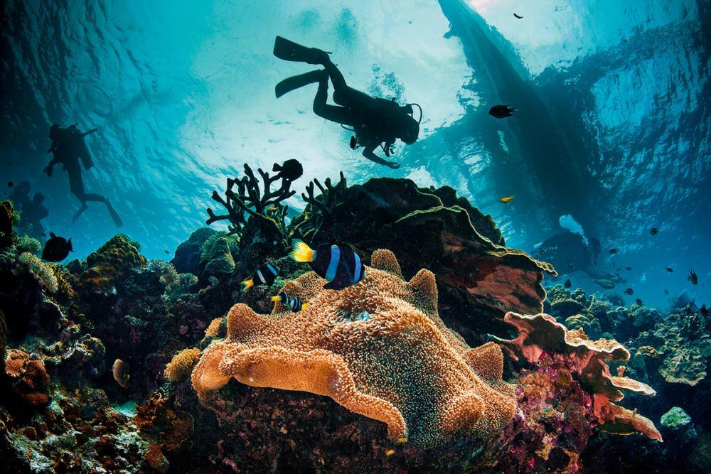 Fun Diver | Scuba Diving in Goa - FLYING FISH DIVING INDIA PRIVATE LIMITED