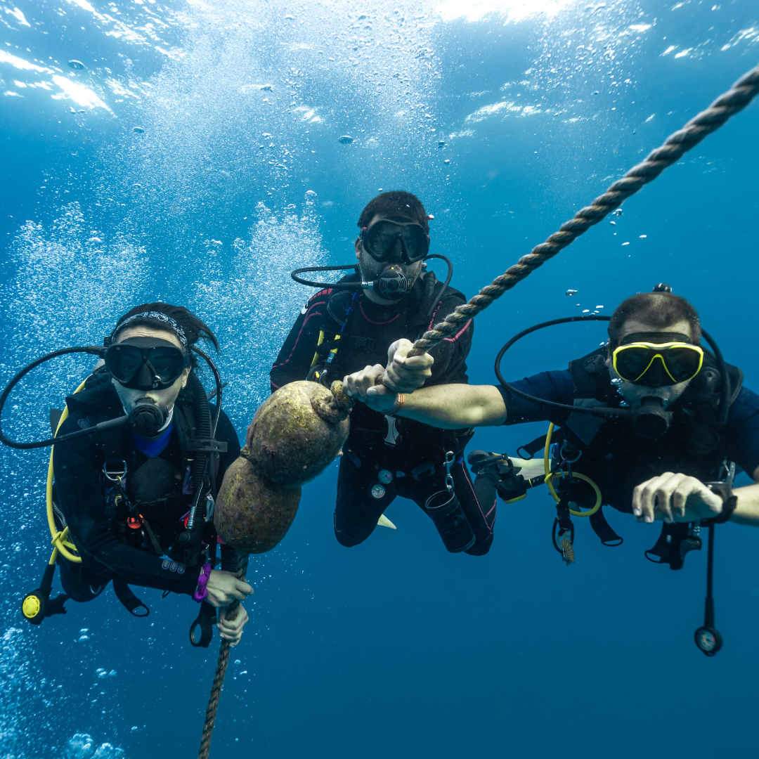 Why start a family scuba diving adventure in Goa?