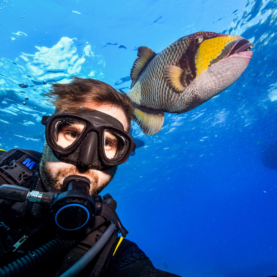 12 Months, 12 Dazzling Dive Destinations 2024