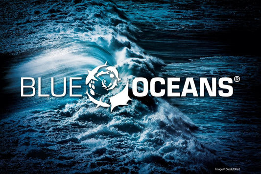 Championing Ocean Conservation: SSI Introduces the Complimentary Blue Oceans Program – Embark on Your Journey as a Blue Oceans Diver Now!