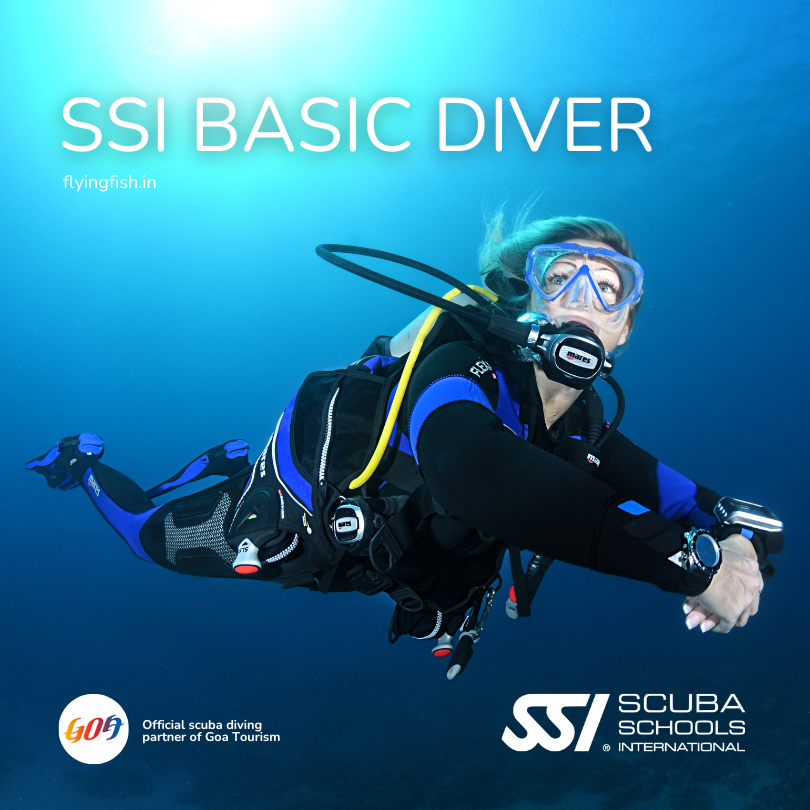 SSI Basic Diver-FLYING FISH DIVING INDIA PRIVATE LIMITED