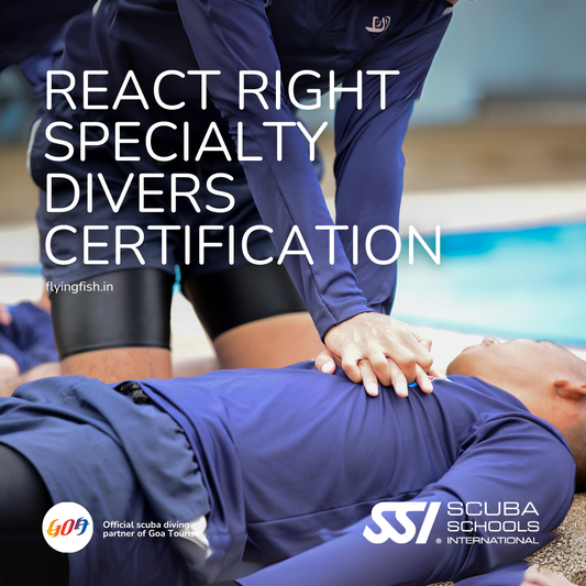 React Right Specialty divers certification-FLYING FISH DIVING INDIA PRIVATE LIMITED