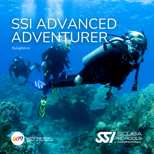 SSI Advanced Adventurer-FLYING FISH DIVING INDIA PRIVATE LIMITED