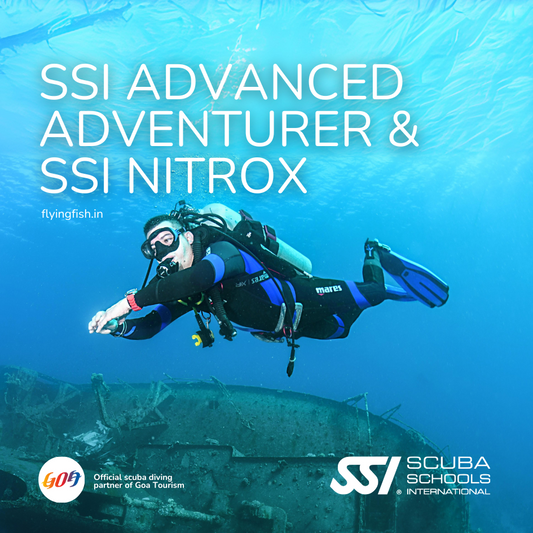 SSI Advanced Adventurer & SSI Nitrox Combo Deal-FLYING FISH DIVING INDIA PRIVATE LIMITED