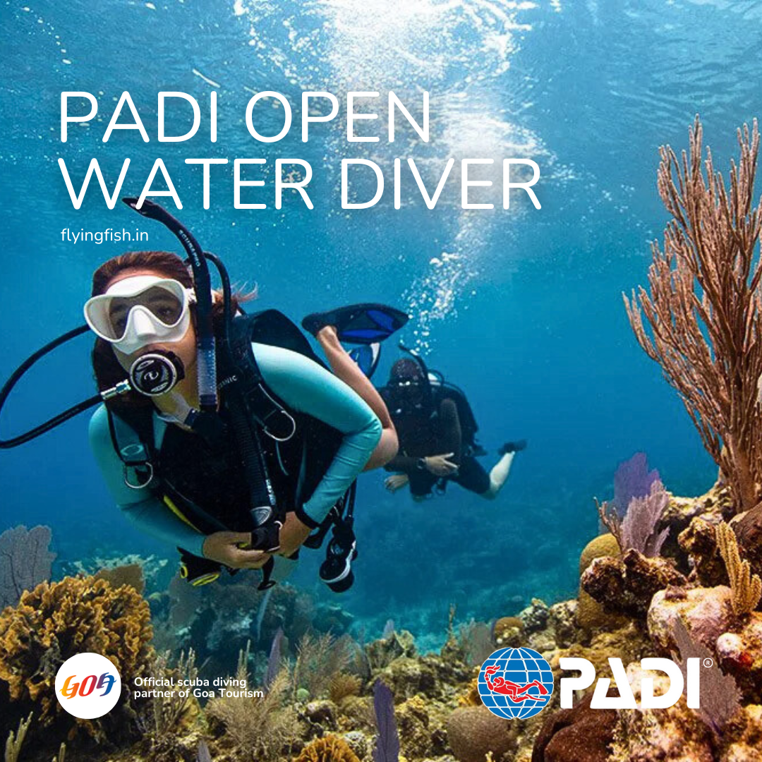 PADI Open Water Diver-FLYING FISH DIVING INDIA PRIVATE LIMITED