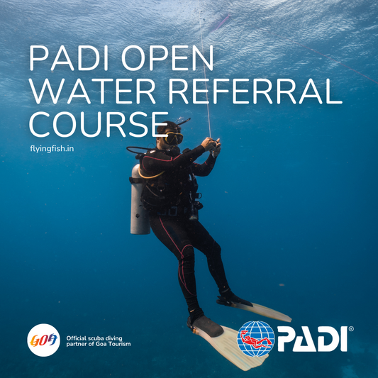 PADI Peak Performance Buoyancy-FLYING FISH DIVING INDIA PRIVATE LIMITED