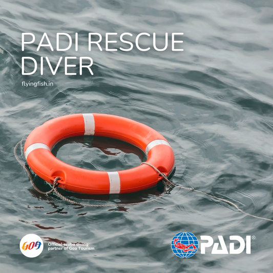 PADI Rescue Diver-FLYING FISH DIVING INDIA PRIVATE LIMITED