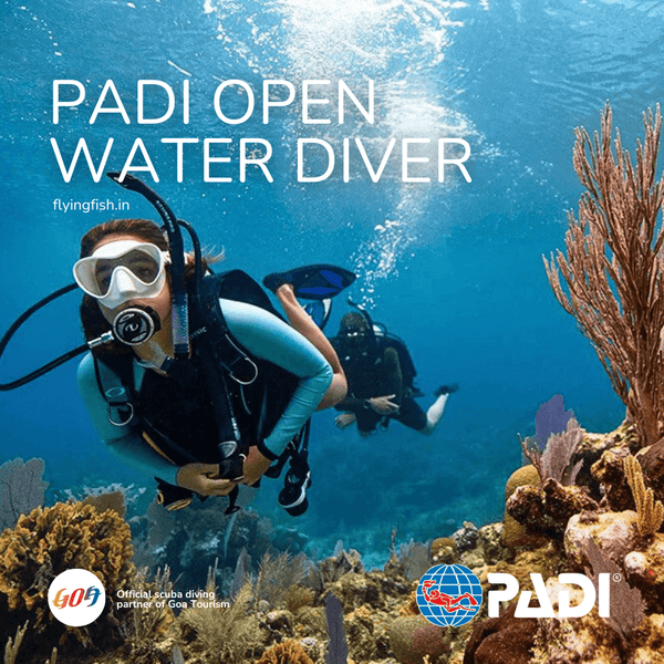 PADI Open Water Diver - FLYING FISH DIVING INDIA PRIVATE LIMITED