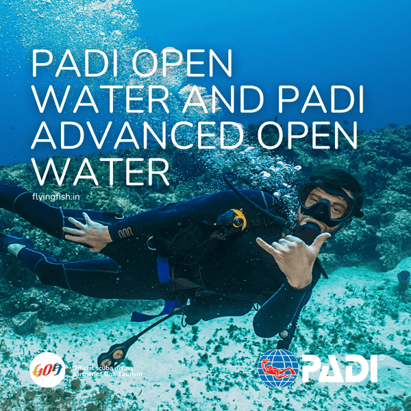 PADI Open Water and PADI Advanced Open Water - FLYING FISH DIVING INDIA PRIVATE LIMITED