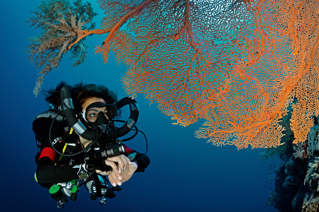 First dive experience (40+40 minutes) | Scuba Diving in Goa