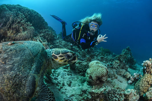 First Dive Experience (40 Minutes) | Scuba Diving In Goa