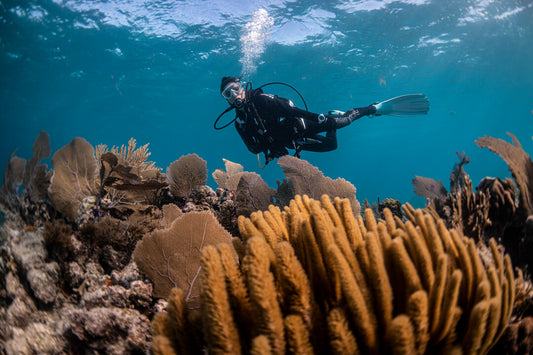 First Dive Experience (20 Minutes) | Scuba Diving In Goa