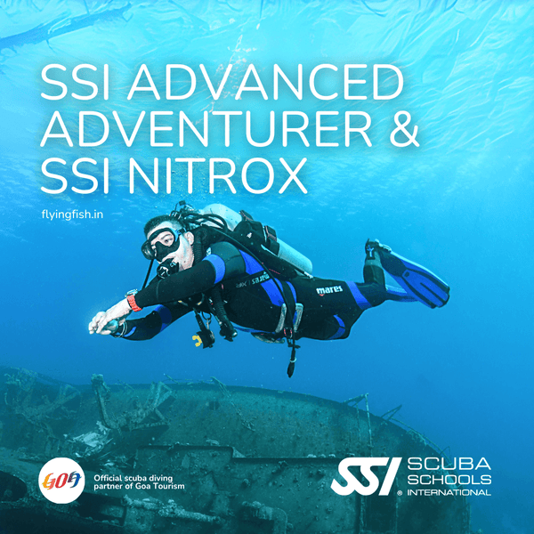 SSI Advanced Adventurer & SSI Nitrox Combo Deal - FLYING FISH DIVING INDIA PRIVATE LIMITED