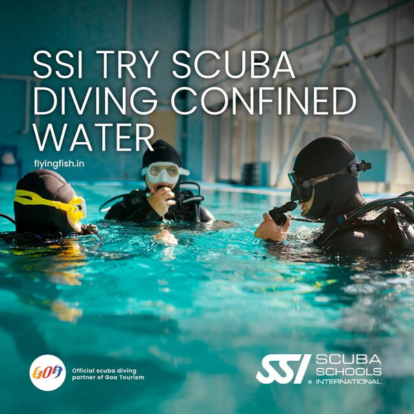 SSI Try scuba diving Confined Water | Scuba Diving at Just 990/- - FLYING FISH DIVING INDIA PRIVATE LIMITED