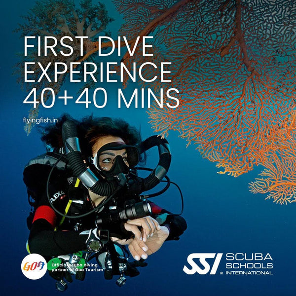 First dive experience (40+40 minutes) | Scuba Diving in Goa - FLYING FISH DIVING INDIA PRIVATE LIMITED