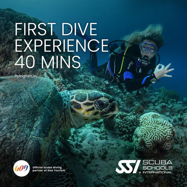 First Dive Experience (40 Minutes) | Scuba Diving In Goa - FLYING FISH DIVING INDIA PRIVATE LIMITED